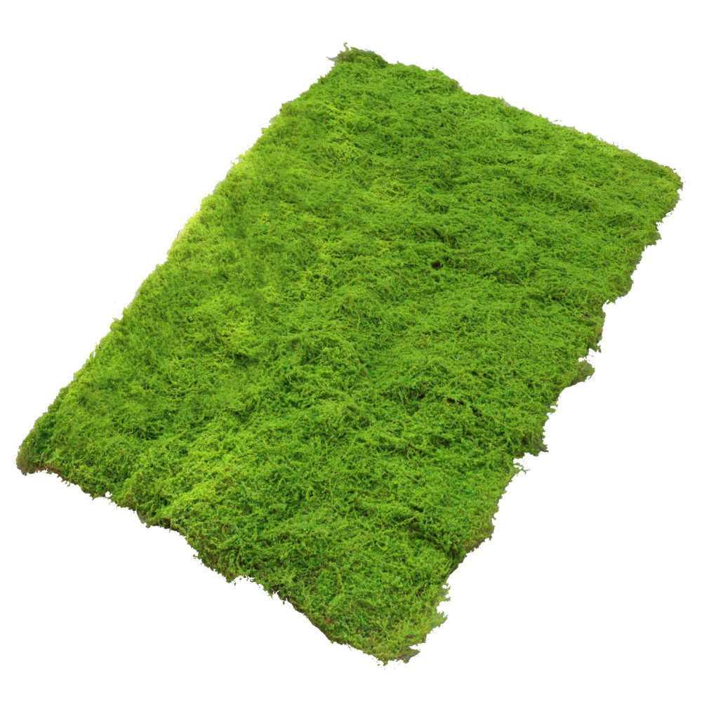 Faux Moss Turf Mat Artificial  - đánh giá và giá Preserved Moss Sheet