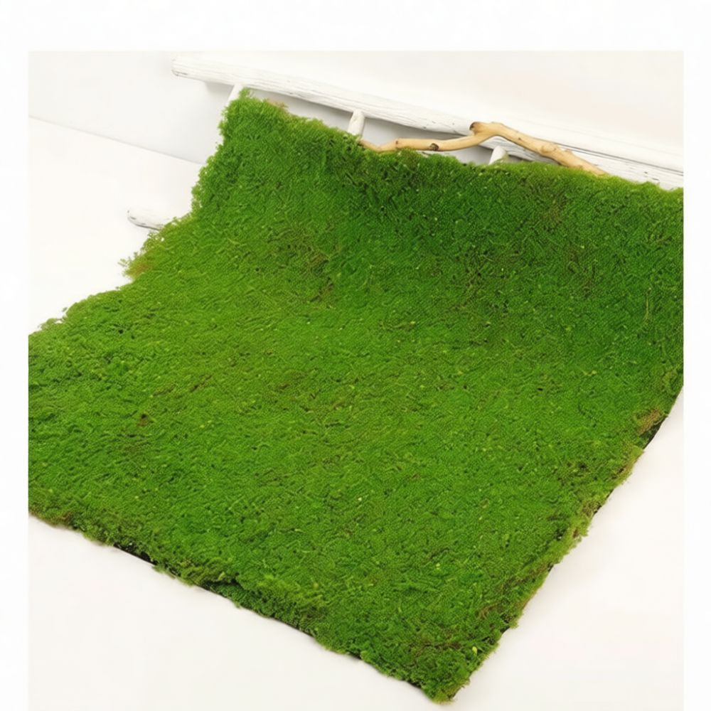 Faux Moss Turf Mat Artificial  - đánh giá và giá Preserved Moss Sheet
