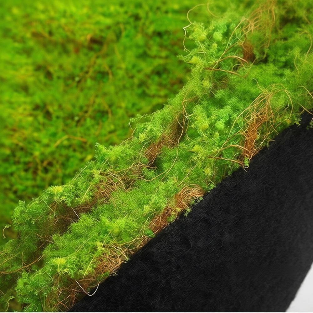 Faux Moss Turf Mat Artificial  - đánh giá và giá Preserved Moss Sheet