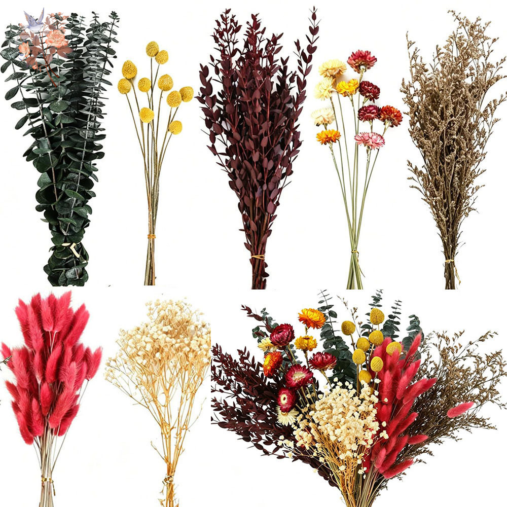 Dried Flowers Bulk Set 7 Kinds - đánh giá và giá Florist Flower Supply