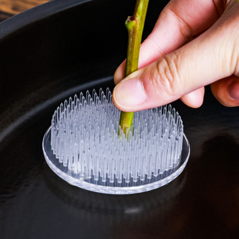 Round Ikebana Stem Holder Suct - đánh giá và giá Florist Supply Vases