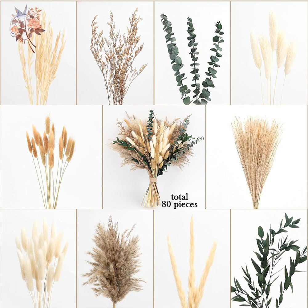 80Pcs Natural Dried Flowers Bo - đánh giá và giá Eucalyptus Preserved