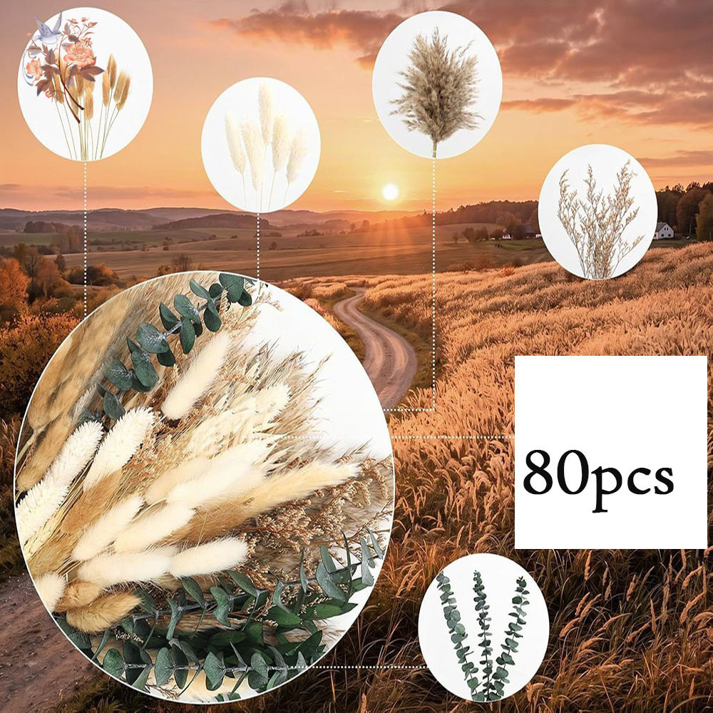 80Pcs Natural Dried Flowers Bo - đánh giá và giá Eucalyptus Preserved